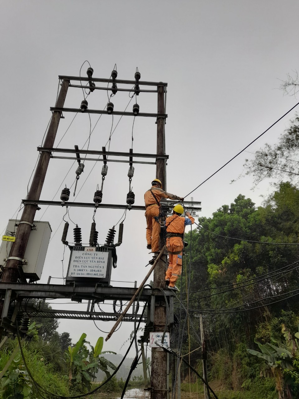 Xí nghiệp dịch vụ Điện lực Yên Bái đẩy nhanh tiến độ thi công sửa chữa lớn đường dây 0.4kV xã Tân Nguyên